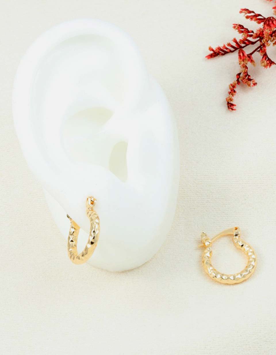Aretes Tipo Argolla con Acabado Diamantado para Mujer