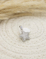 Dije Estrella Plateada