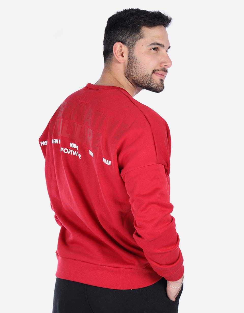 Hoodie unicolor de estampado trasero